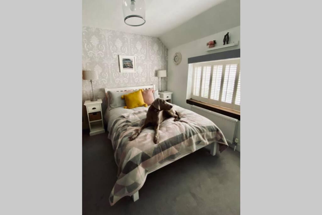 Angel Cottage, Boxgrove, Chichester - Relax&Unwind Exterior foto